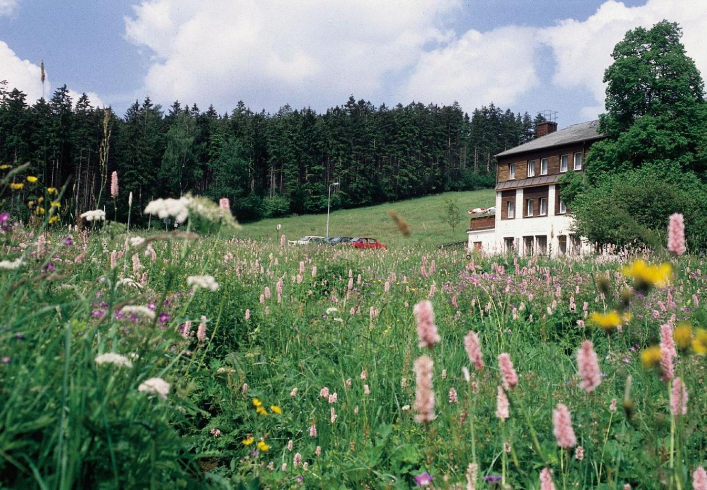 Landhaus Bergidyll Bärenstein Esterno foto