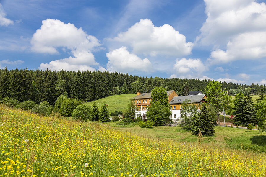 Landhaus Bergidyll Bärenstein Esterno foto